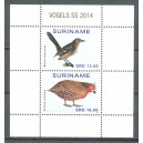 Suriname 2014 12 Vogels