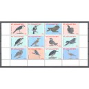 St. Maarten 2015 01 Vogels