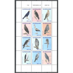 Suriname 2015 03 Vogels