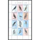Suriname 2015 03 Vogels