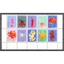 St. Maarten 2015 08 Bloemen