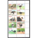 Aruba 2015 07 Vogels