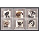 Curaçao 2015 11 Honden