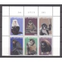 St. Maarten 2015 11 Apen