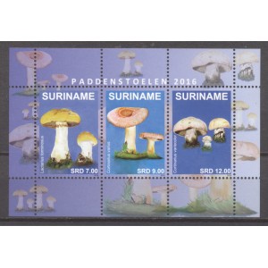 Suriname 2016 01 Paddenstoelen