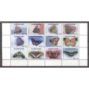 Suriname 2016 03 Vlinders