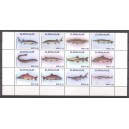 Suriname 2016 04 Vissen