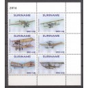 Suriname 2016 10 Oude vliegtuigen