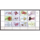 Suriname 2017 03 Bloemen