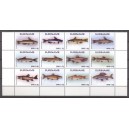 Suriname 2017 05 Vissen