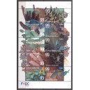 Caribisch Nederland 2017 01 Onderwaterwereld 3 vellen