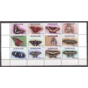 Suriname 2017 06 Vlinders