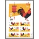 St. Maarten 2017 02 Year of the Rooster