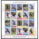 St. Maarten 2017 05 Vogels