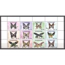 Suriname 2018 04 Vlinders