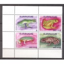 Suriname 2018 05 Kikkers