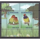 Suriname 2018 07 Papegaai en Kaketoe