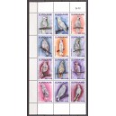 Suriname 2018 08 Papegaaien