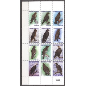 Suriname 2018 10 Roofvogels