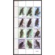 Suriname 2018 10 Roofvogels
