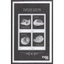 Caribisch Nederland 2018 04 Schelpen deel 2 3 vellen