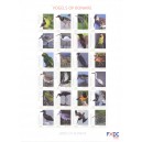 Caribisch Nederland 2018 05 Vogels op Bonaire