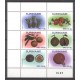 Suriname 2018 11 Fruit