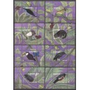 Suriname 2018 13 12 blokken natuur