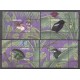 Suriname 2018 13 12 blokken natuur