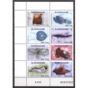 Suriname 2019 03 Mariana Zeeleven