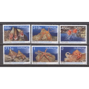Cura&ccedil;ao 2019 03 Schelpdieren + blok