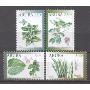 Aruba 2019 06 Medicinale planten