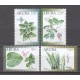 Aruba 2019 06 Medicinale planten