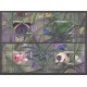 Suriname 2019 13 Natuur - (16 Blokken)