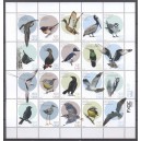 Caribisch Nederland 2019 06 Vogels op Saba