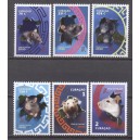 Cura&ccedil;ao 2020 01 Chinese New Year 2020 - Year of the Rat