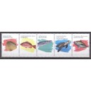 Caribisch Nederland 2020 02 Zeeleven