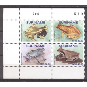 Suriname 2020 07 Kikkers