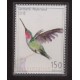 Caribisch Nederland 2020 08 Amazing hummingbird