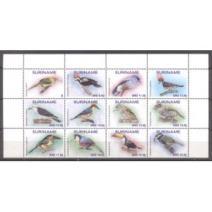 Suriname 2021 08 Vogels