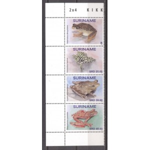 Suriname 2021 10 Kikkers