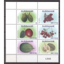 Suriname 2021 11 Vruchten