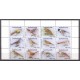 Suriname 2022 06 Vogels