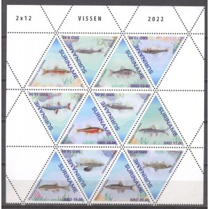 Suriname 2022 10 Vissen
