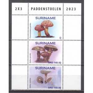 Suriname 2023 05 Paddenstoelen