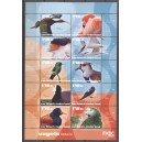 Caribisch Nederland 2026 01 Vogels van Bonaire