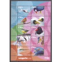 Caribisch Nederland 2026 02 Vogels van Saba