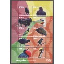 Caribisch Nederland 2026 03 Vogels van St. Eustatius