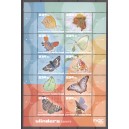 Caribisch Nederland 2026 04 Vlinders Bonaire