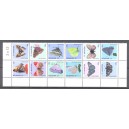 St. Maarten 2013 09 Vlinders